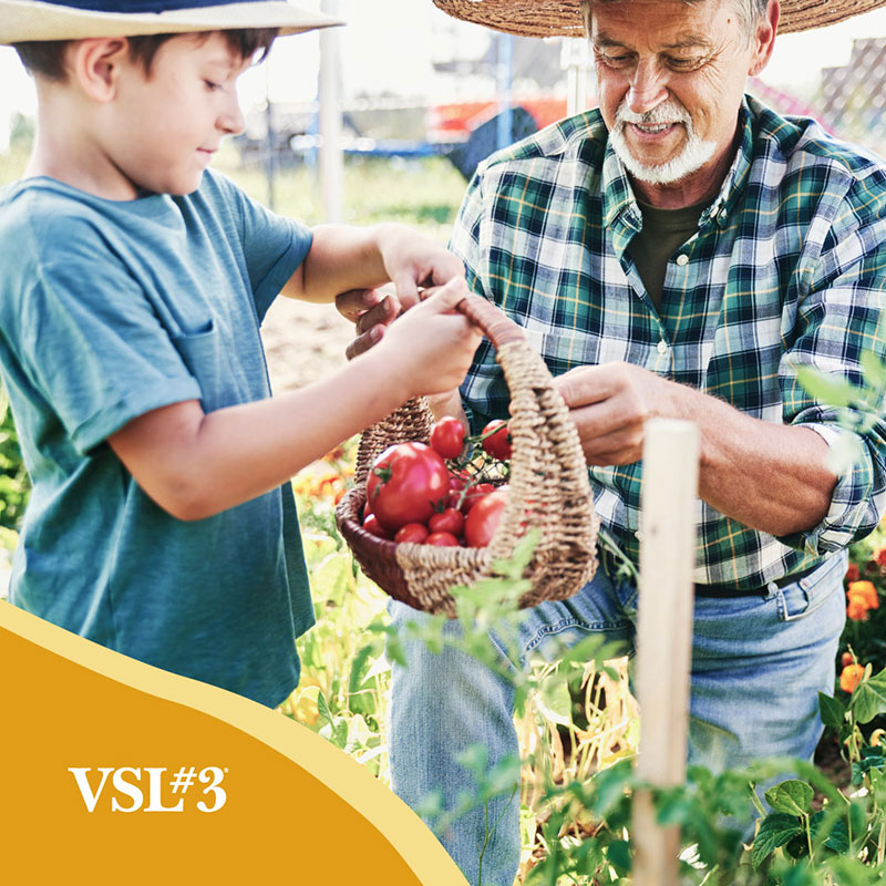 Miért válassza a VSL#3-at?